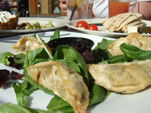 Vegetarian Potstickers